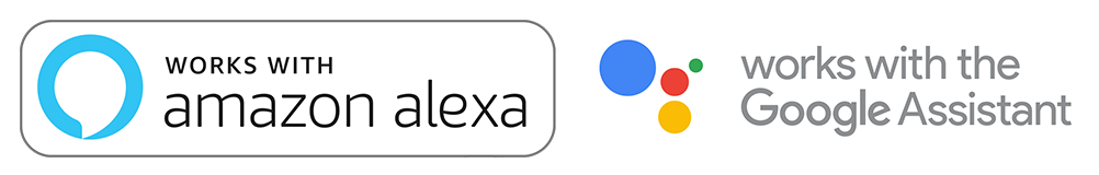 Assistants vocaux Amazon Alexa Google 